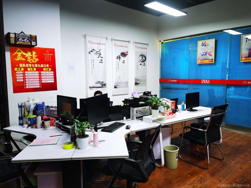 分达信息咨询：洞察市场动态的灯塔